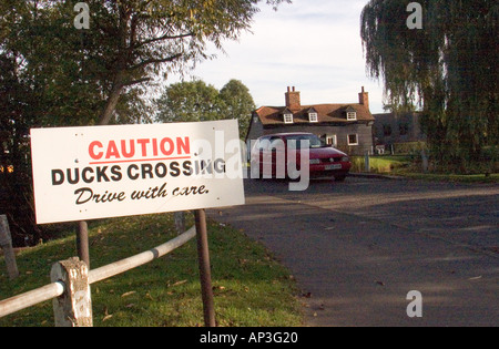 Achtung Enten Kreuzung anmelden Blackmore Dorf in der Nähe von Chelmsford Essex GB Stockfoto