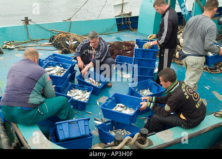 Fischer arbeitet auf einem Trawler Sortieren der täglichen Fangs von Fischen, Nessebar, Bulgarien Stockfoto