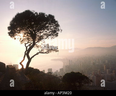 Blick über das Resort bei Sonnenuntergang, Benidorm, Costa Blanca. Spanien Stockfoto