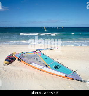 Windsurfen am Strand in Corralejo, Fuerteventura, Kanarische Inseln, Spanien Stockfoto