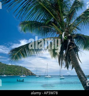 Blick auf das Meer vom Strand, Saltwhistle Bay, Mayreau, die Grenadinen, Karibik, Caribbean Stockfoto