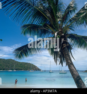 Blick auf das Meer aus Strand, Saltwhistle Bay Mayreau, die Grenadinen, Karibik, West Indies Stockfoto