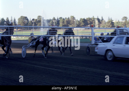 Trabrennen an der California State Fair Sacramento California Stockfoto