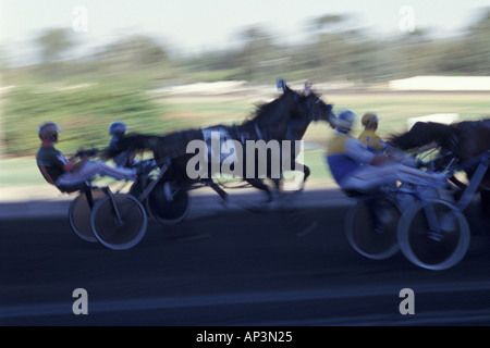 Trabrennen an der California State Fair Sacramento California Stockfoto