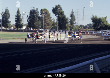 Trabrennen an der California State Fair Sacramento California Stockfoto