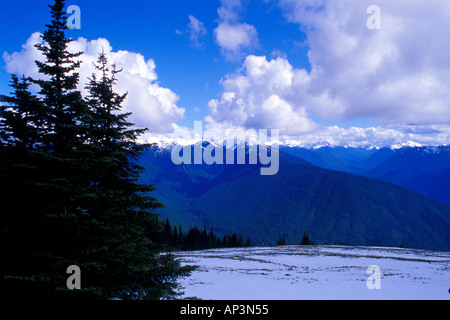 Blick nach Süden vom Hurricane Ridge Olympic Nationalpark Washington Stockfoto