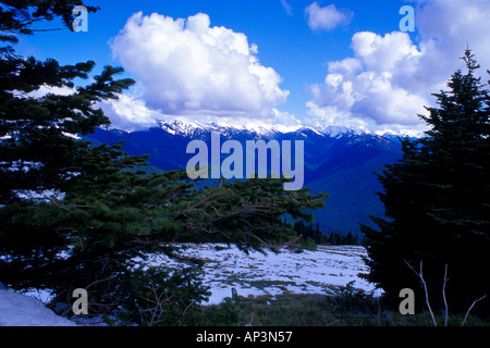 Blick nach Süden vom Hurricane Ridge Olympic Nationalpark Washington Stockfoto