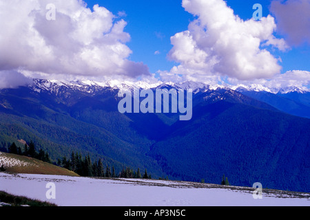 Blick nach Süden vom Hurricane Ridge Olympic Nationalpark Washington Stockfoto