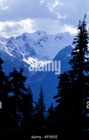 Blick nach Süden vom Hurricane Ridge Olympic Nationalpark Washington Stockfoto