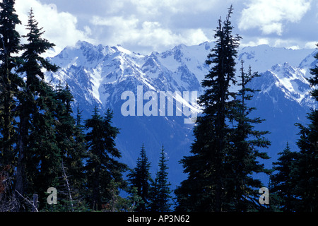 Blick nach Süden vom Hurricane Ridge Olympic Nationalpark Washington Stockfoto