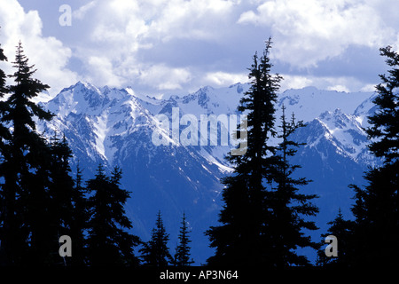 Blick nach Süden vom Hurricane Ridge Olympic Nationalpark Washington Stockfoto