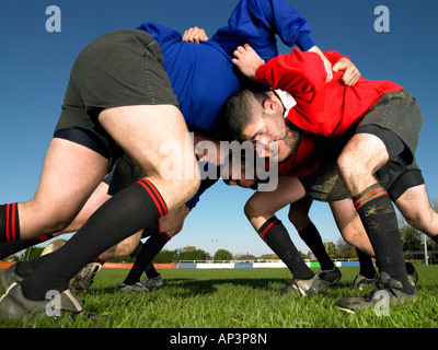 Rugby-Spieler in einem scrum Stockfoto