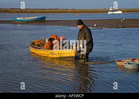 Fischer bringen geerntete Muscheln mit dem Boot für die Einstufung Brancaster Staithe Norfolk Winter Stockfoto