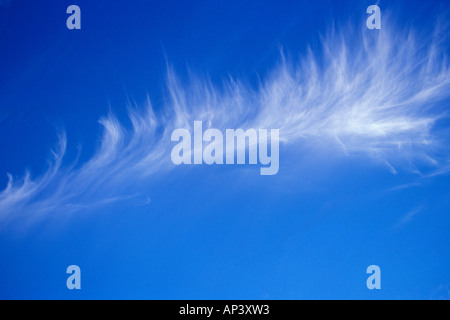 Eine leichte Whispy Wolke hängen in den strahlend blauen Himmel Stockfoto
