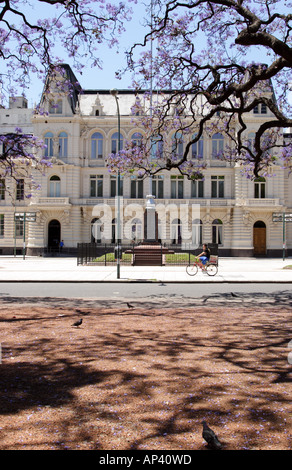 Argentinien, Buenos Aires, Barrio Norte, Rodriguez Pena, Jacarandas blühen in den Stadtparks Stockfoto