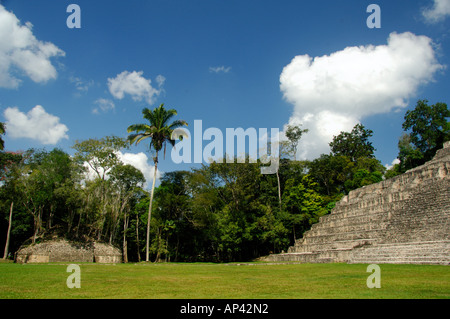 Mittelamerika, Belize, Chiquibul Waldreservat, Caracol. Ruinen der klassischen antiken Maya-Zivilisation. Stockfoto