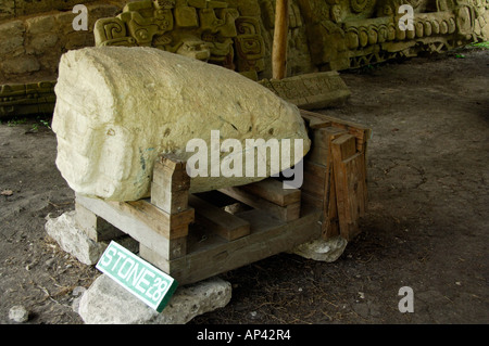 Mittelamerika, Belize, Chiquibul Waldreservat, Caracol. Stein 28, Gesicht. Stockfoto