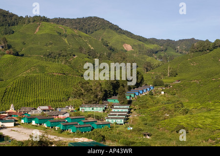 Arbeitnehmer Unterkunft und Unterstützung Gebäude auf dem Sungai Palas Boh-Teeplantage in den Cameron Highlands, Malaysia. Stockfoto