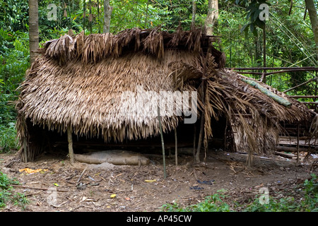 Eine Hütte gebaut durch den Dschungel Wohnung Orang Asli Stamm in der Taman Negara Nationalpark, Malaysia. Stockfoto