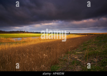 Ein Blick auf Herringfleet Marshes in Suffolk aus neben dem Fluß Waveney Stockfoto