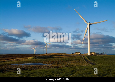 Dh Burgar Hill Orkney windfarm STROM GROSSBRITANNIEN Bauernhöfe Nordex N 80 3 Mwatt turbine Schottland Großbritannien Windpark Stockfoto