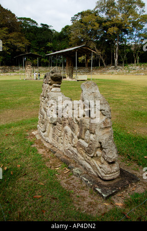 Mittelamerika, Honduras, Copan. Große Plaza von Stelen aka Plaza Grande de Las Estelas. Stockfoto