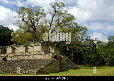 Mittelamerika, Honduras, Copan (aka Xukpi in Maya). Ballcourt. Stockfoto