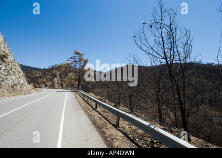 Schäden nach Waldbrände, Troodos-Gebirge, Zypern Stockfoto