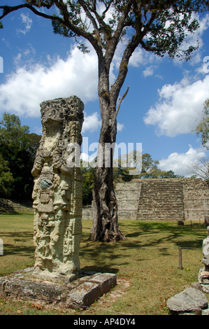 Mittelamerika, Honduras, Copan (aka Xukpi in Maya). Das Grand Plaza. Stockfoto