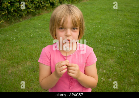 Junges Mädchen bläst einen Löwenzahn auf einem grünen Rasen-Hintergrund Stockfoto