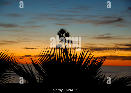 Nordamerika, Mexiko, Baja California Sur, Cabo San Lucas. Cabo Sonnenuntergang. Stockfoto