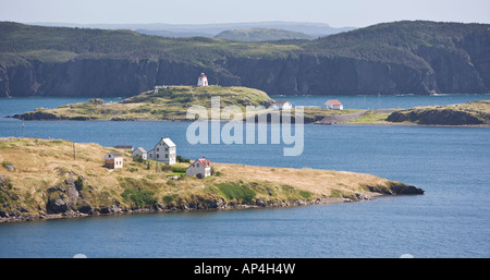 Häuser an der Küste in der Nähe von Trinity, Neufundland, Kanada. Stockfoto