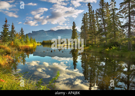 See-Reflexionen von Wolken und Fell Bäume und Berge in der Ferne Stockfoto