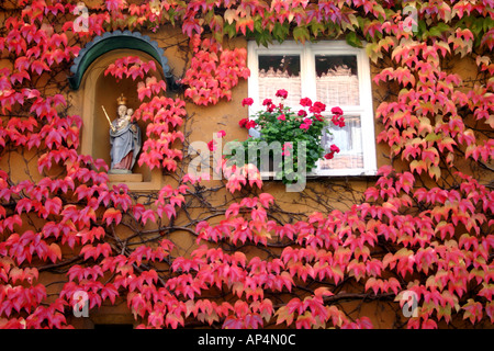 überwuchert urige Haus an die Fuggerei älteste Sozialsiedlung der Welt Augsburg Bayern Deutschland Stockfoto