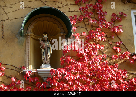 überwuchert urige Haus an die Fuggerei älteste Sozialsiedlung der Welt Augsburg Bayern Deutschland Stockfoto