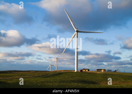 dh Burgar Hill Orkney Windpark ELEKTRIZITÄT Großbritannien Schottland Nordex N80 3Mwatt Turbinen erneuerbare Turbinen Energie Windparks scottish Inseln Windparks Stockfoto