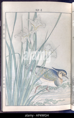 Vogel und Blume Illustrationen von Mottoshow: Sommer 1891 Seite 11 Stockfoto