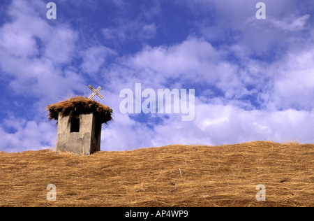 Südamerika, Peru, Manu Nationalpark, Nebelwald. Schutzhütte auf Tres Kreuzfahrten. Stockfoto