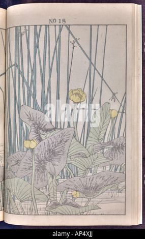 Vogel und Blume Illustrationen von Mottoshow: Sommer 1891 Seite 28 Stockfoto