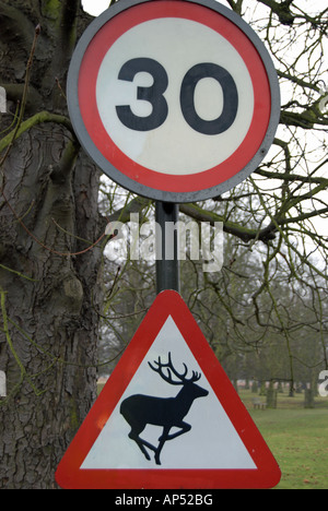 britische Verkehrszeichen eine 30 km/h Höchstgeschwindigkeit Meldungen und Warnungen des Hirsches in bushy Park, Teddington, in der Nähe von London, england Stockfoto