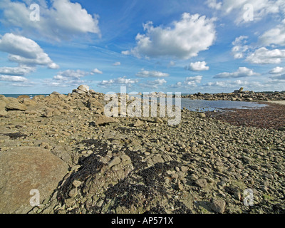 steinige Küste auf der Insel Ile de Siec in Santec in der Nähe von Roscoff in Finistere Brittany France Stockfoto