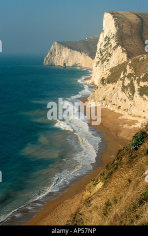 Fledermäuse Kopf in der Nähe von Durdle Door Dorset England UK Stockfoto