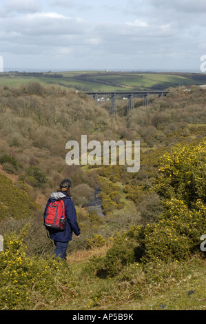 FormerMeldon Eisenbahnviadukt in Dartmoor National Park Devon England jetzt als ein Radweg genutzt Stockfoto