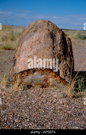Nordamerika, USA, Arizona, versteinerte Wald Nationalpark, Long Logs Trail. Versteinertes Holz in bunten Stein verwandelt. Stockfoto