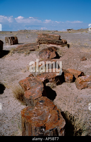 Nordamerika, USA, Arizona, versteinerte Wald Nationalpark, Giant Logs Trail. Versteinertes Holz in bunten Stein verwandelt. Stockfoto