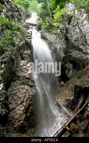 Zavojovy Wasserfall, Nationalpark Slovenský Raj, Slowakei Stockfoto