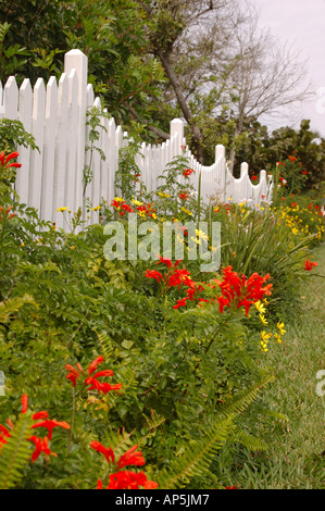 Nordamerika, USA, Florida, New Smyrna Beach, Grenze Garten Stockfoto
