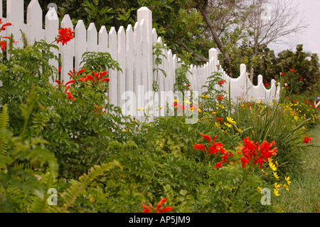 Nordamerika, USA, Florida, New Smyrna Beach, Grenze Garten Stockfoto