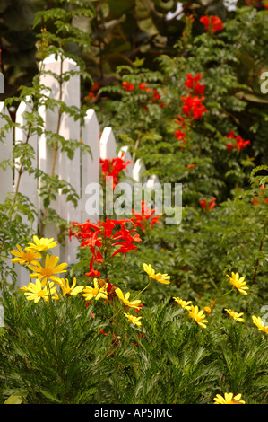 Nordamerika, USA, Florida, New Smyrna Beach, Grenze Garten Stockfoto