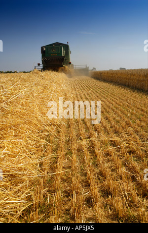 Kombinieren Sie John Deere Harvester Gerste Ernte Mundesley Norfolk UK Stockfoto